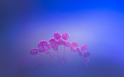 紫粉抽象画